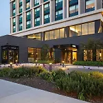 The Study At The University Of Chicago