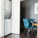 Downtown Mich Ave - 6 Penthouses, Sleep 25 Holiday home