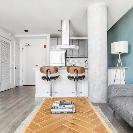 Lakeview 1br Studio Nr Lakefront Lincoln Park Chi-181 * Chicago