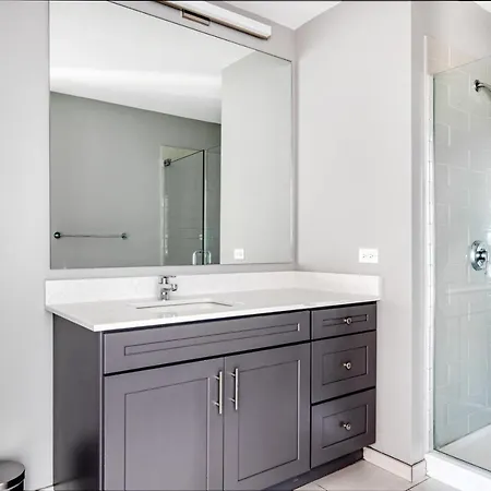 Lakeview 1br Studio Nr Lakefront Lincoln Park Chi-181 *