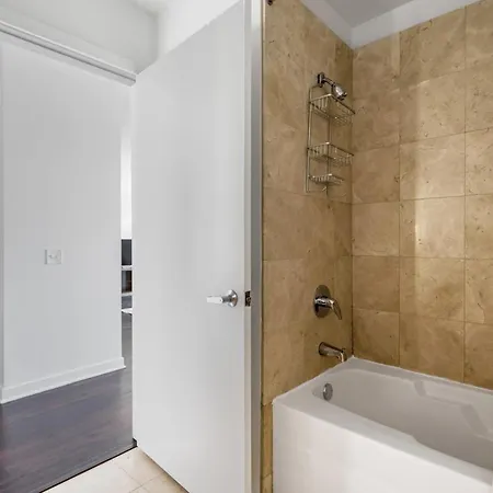 South Loop 1br W Gym Lounge Nr Grant Park Chi-848 * Chicago