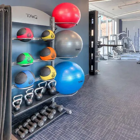 Apartment South Loop 1br W Gym Lounge Nr Grant Park Chi-848 Chicago