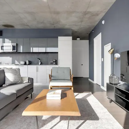 Near North 2br W Roof Gym Nr Red Line Chi-580 Apartment