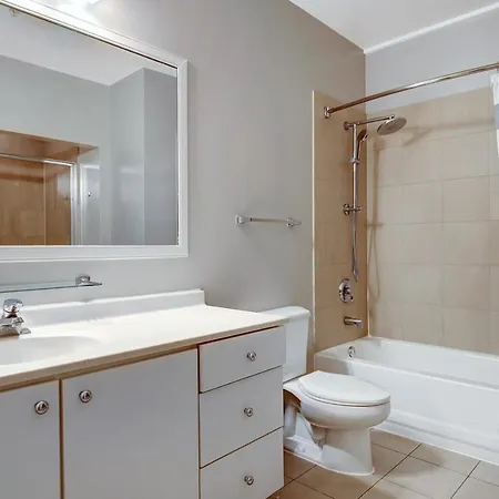 Loop 2br W Gym Doorman Nr L Parks Chi-319 Chicago