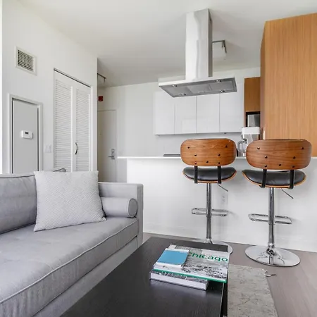 Streeterville Studio W Gym Pool Nr Navy Pier Chi-395 Apartment