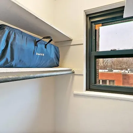 Apartment Beautiful 1br Brick In Historic Hyde Park Chicago