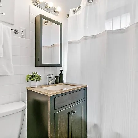 Beautiful 1br Brick In Historic Hyde Park Apartment
