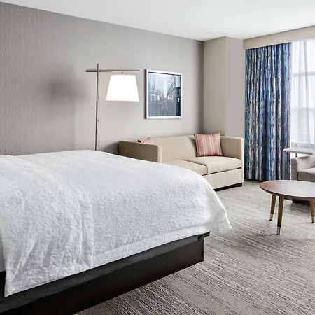 Hotel Hampton Mccormick Place 3*
