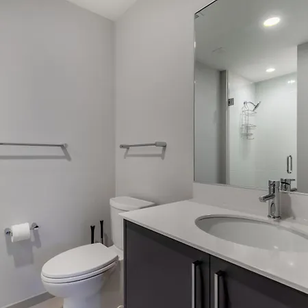 West Town 1br W Gym Nr Wicker Park District Chi-1027 Apartment *