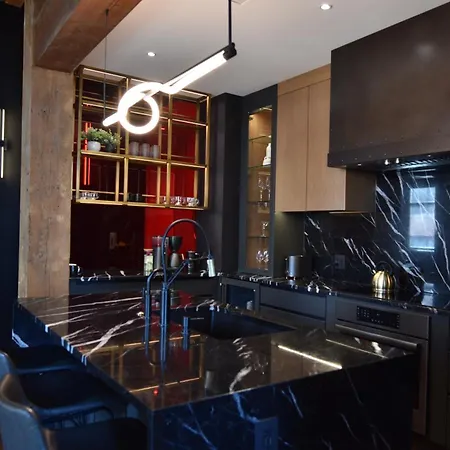 Apartment Luxury Executive Penthouse Loft Chicago