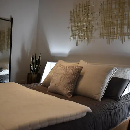 Luxury Executive Penthouse Loft Apartment Chicago