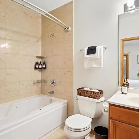 1 Free Parking Sleeps 10 Apartment Chicago