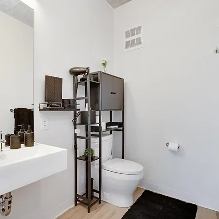 South Loop Rooftop With In & Out Parking 1 Apartment Chicago