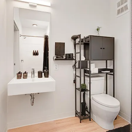 South Loop Rooftop With In & Out Parking 1 Apartment
