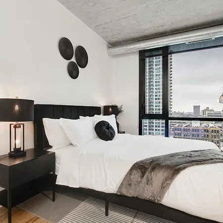 South Loop Rooftop With In & Out Parking 1 Apartment