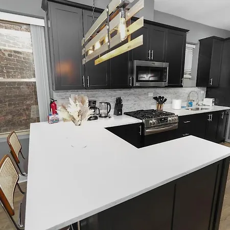 Stylish 2br Near United Center & Mrt Apartment Chicago