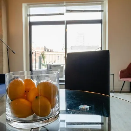 Mccormick Place 2br With Patio, Skyline View And Optional Parking Sleeps 6 Near Soldier Field And Grant Park Apartment