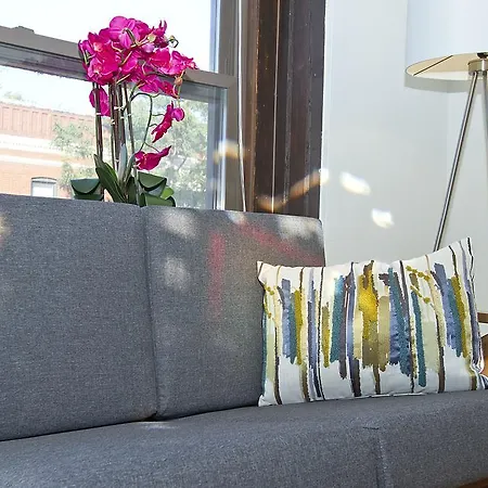 Three-bedroom On N Lincoln Avenue Apt 2 Apartment Chicago