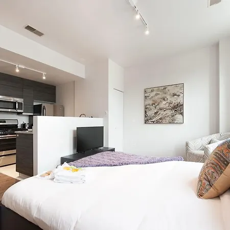 Apartment Studio On E Roosevelt Road Apt 305 Chicago