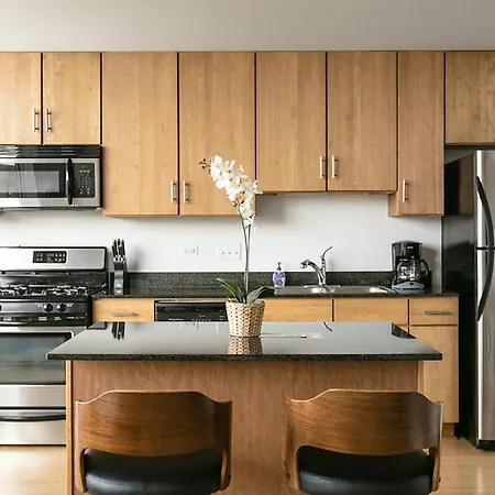 Apartment South Indiana Loft Chicago