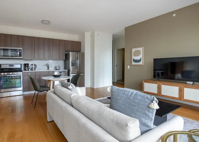 Streeterville 1Br W Lounge Terrace N Navy Pier Chi-1000