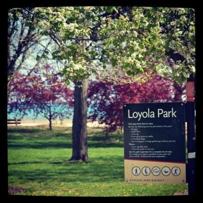 Bed & Breakfast The Greenleaf House *