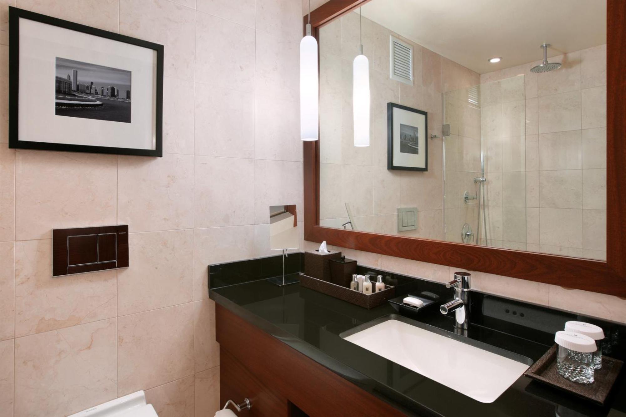 Millennium Knickerbocker Chicago