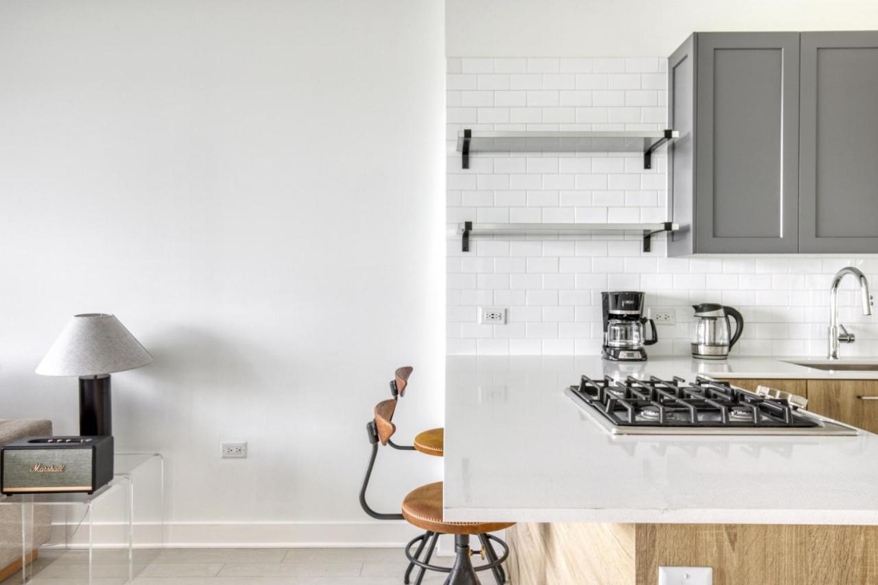 W Loop Studio W Gym Pool Coworking Nr Uic Chi-433 Apartment