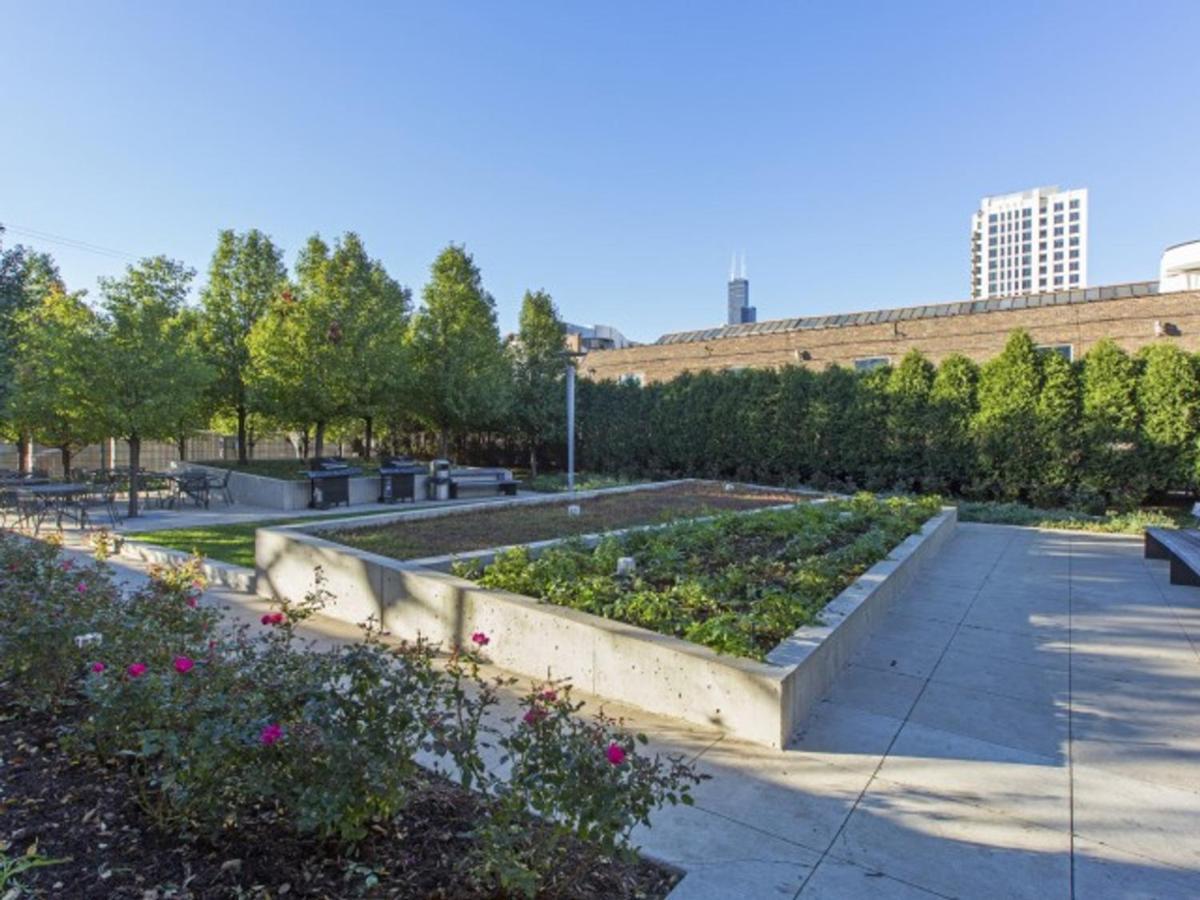 Appartement South Loop 2br W Gym Roof Nr Grant Park Chi-770 Chicago