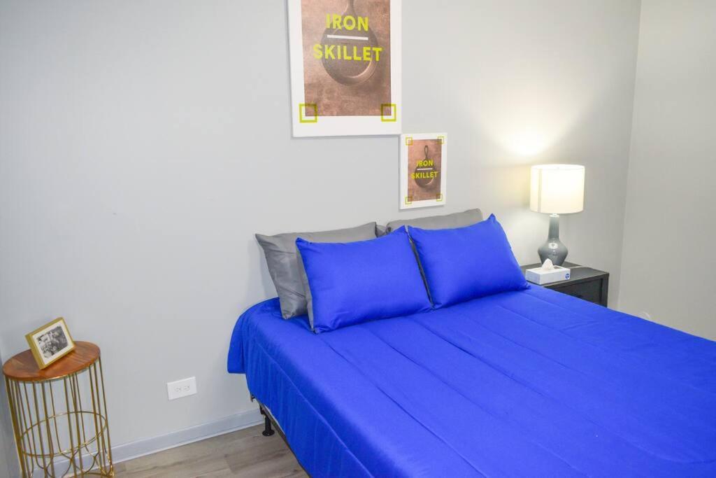 Cozy North Side For Exploring Appartement Chicago