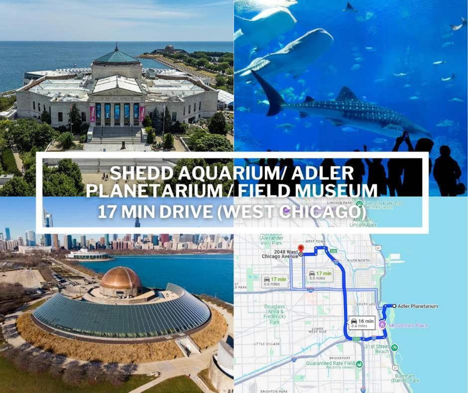 Large 4-bedroom Upscale W Rooftop Apartamento Chicago