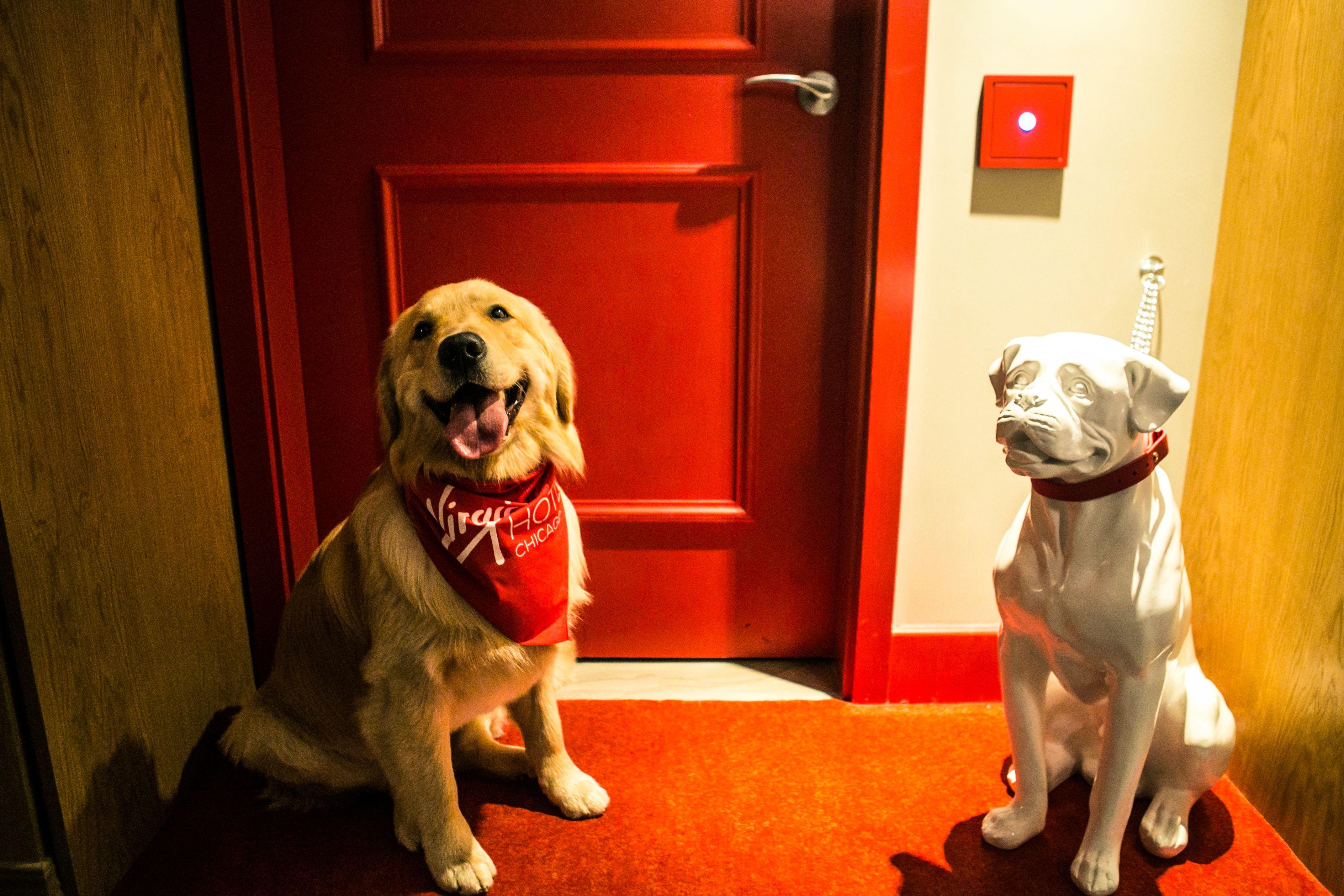 Hotel Sports Illustrated Chicago