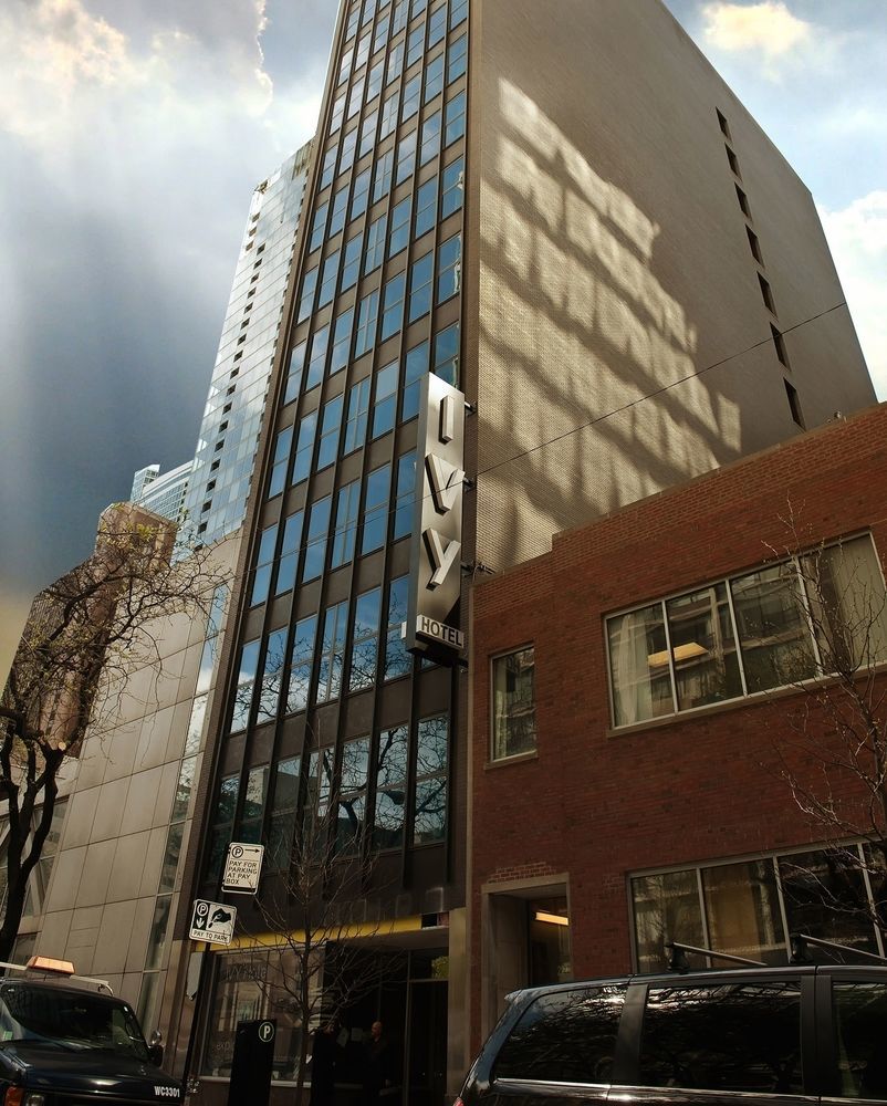 Ivy Boutique (adults Only) Chicago