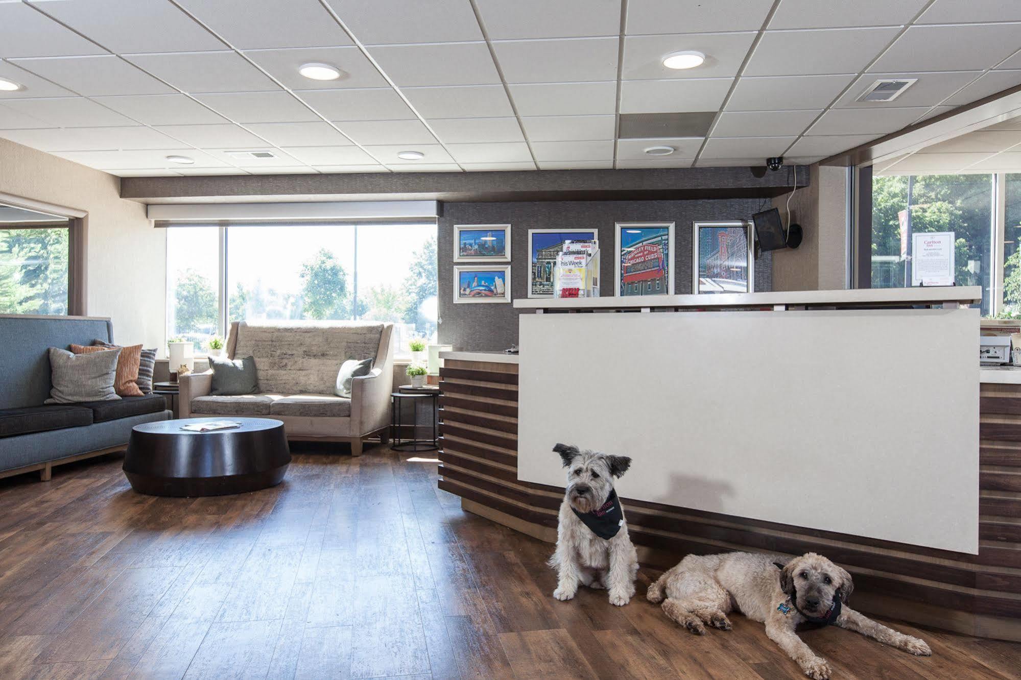 Carlton Midway Chicago