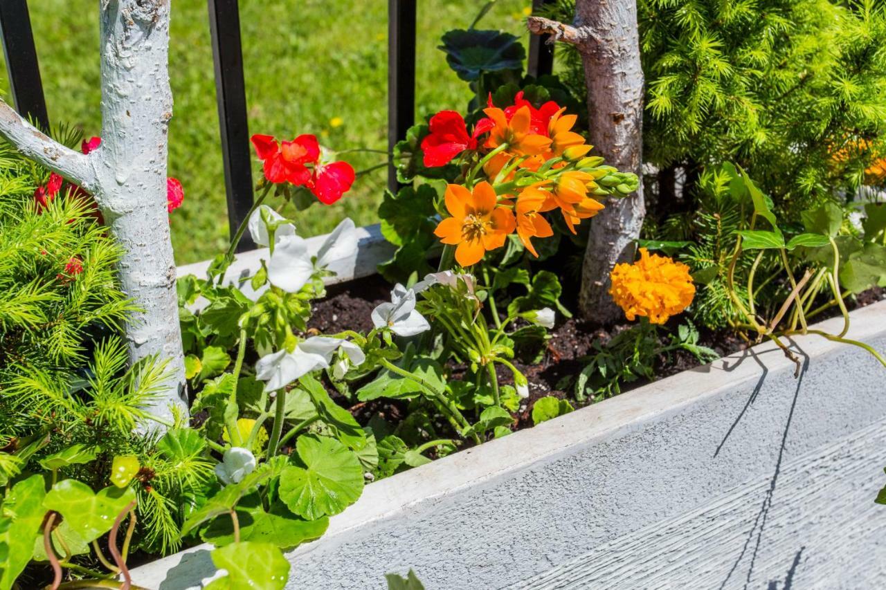 Mccormick Place Guest house 3*