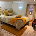 Chicago-Pilsen Boho Apartment With Free Parking - Unit C