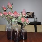 Beautiful Big 3 Bedroom Quiet Apt Near Downtown