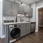 Cute And Cozy Chicago Modern Condo