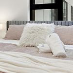 Comfy Condo - Gym Free Parking & Modern Amenities