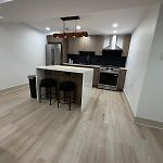 Luxurious Bronzeville Apartment With Rooftop