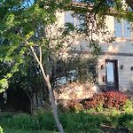 Native Garden At Chicago\'S Edge With Free Parking