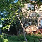 Native Garden At Chicago\'S Edge With Free Parking