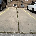 Chicago 1Br Free Parking, Near Transit And Dining