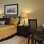 Premier Luxury Suites