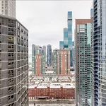 Streeterville Studio W Pool Dog Run Nr Beach Chi-582