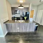 Penthouse In South Loop *