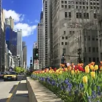 Beautiful Magnificent Mile/Rush Street Condo For Up To 8 Guests With Optional Valet Parking