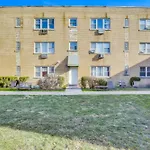 Chicago Vacation Rental Condo 11 Mi To Downtown