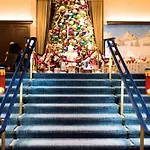 Hotel The Drake Chicago