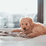 Hampton Inn Chicago West Loop Fulton Market Area